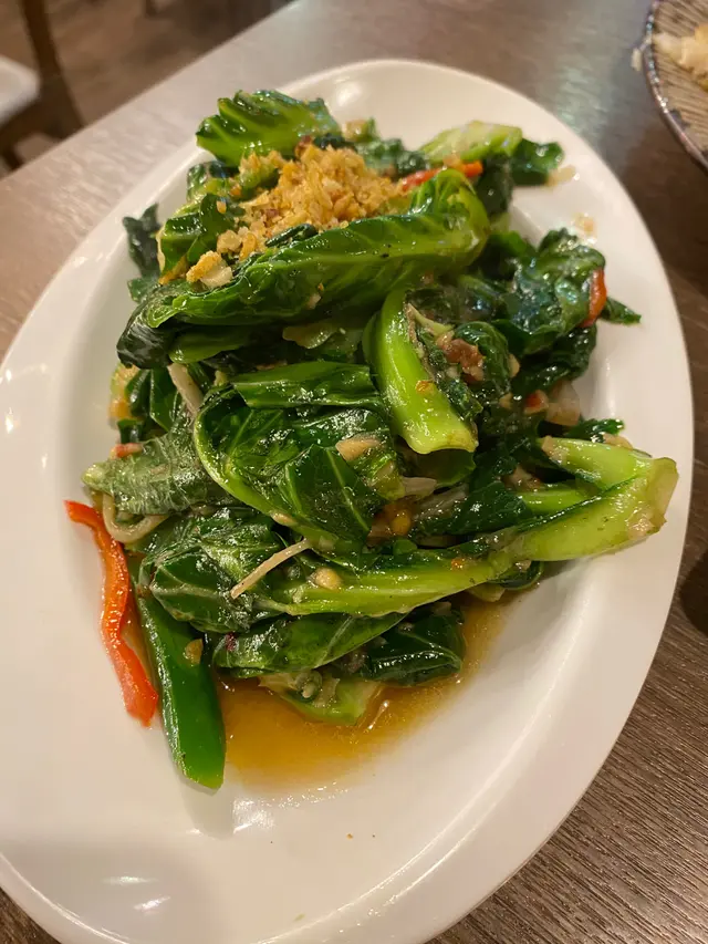 馬拉盞椰菜苗