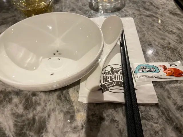 十三么系大菜羔做的麻雀點心，吸晶，清新，為晚飯划上句號