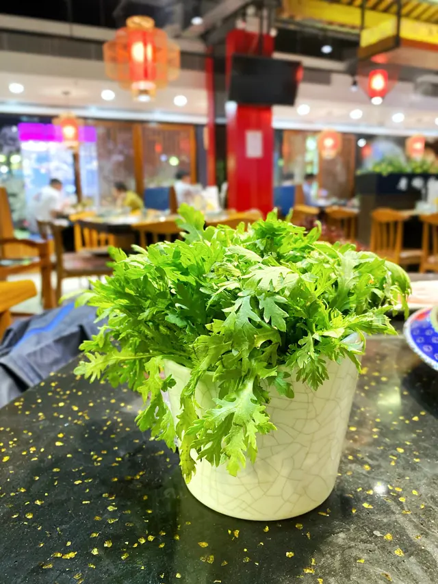 皇帝菜