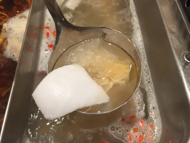 清涼解熱雪耳鮮椰子鍋