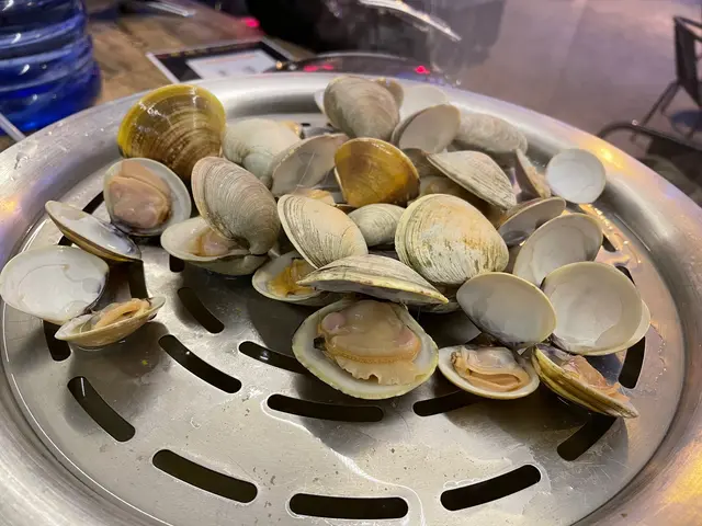 沙白、花甲、蜆