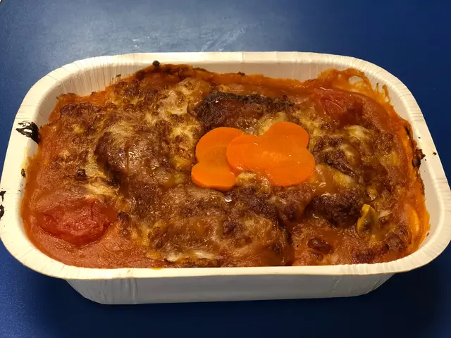 焗豬扒飯