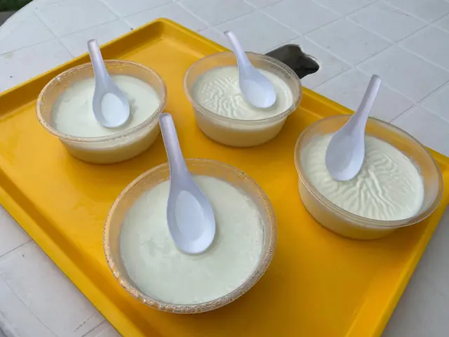 燉奶