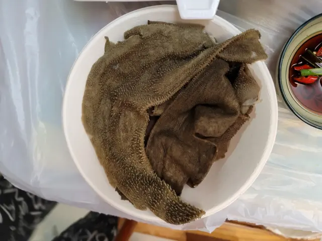 黑柏葉