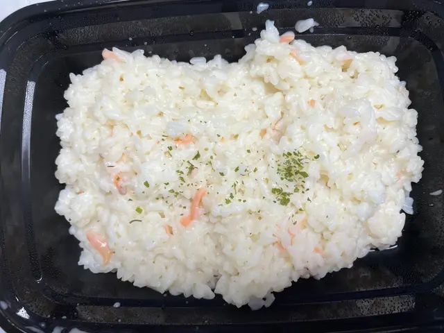 煙三文魚燴飯