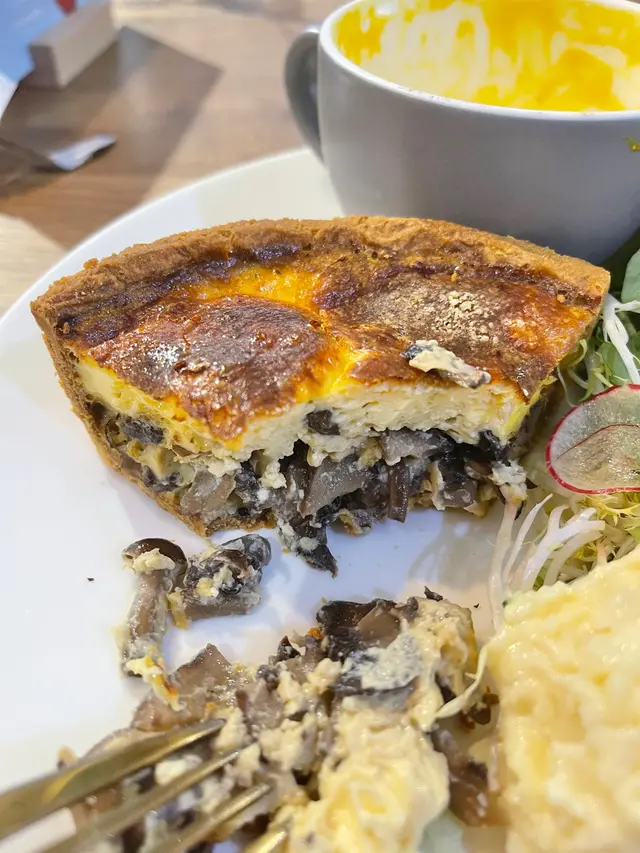 超過一半既菇量