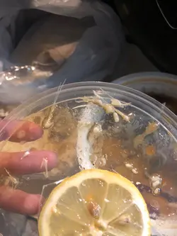 未試過食酸菜魚的骨多到咁，有待改善⋯⋯