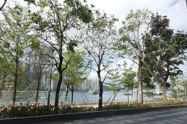 向海