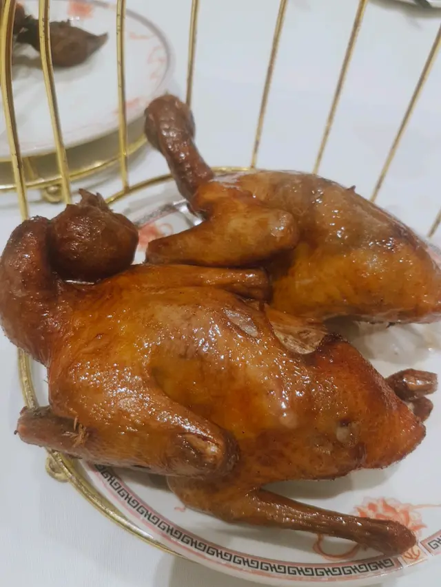 皇子乳鴿