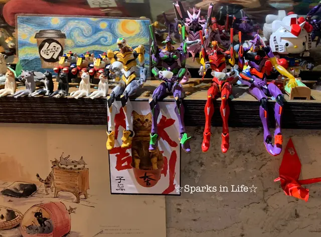 EVA Fans絕對吸睛領域☆