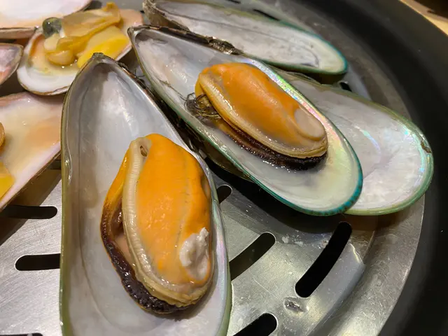 大西洋野生青口