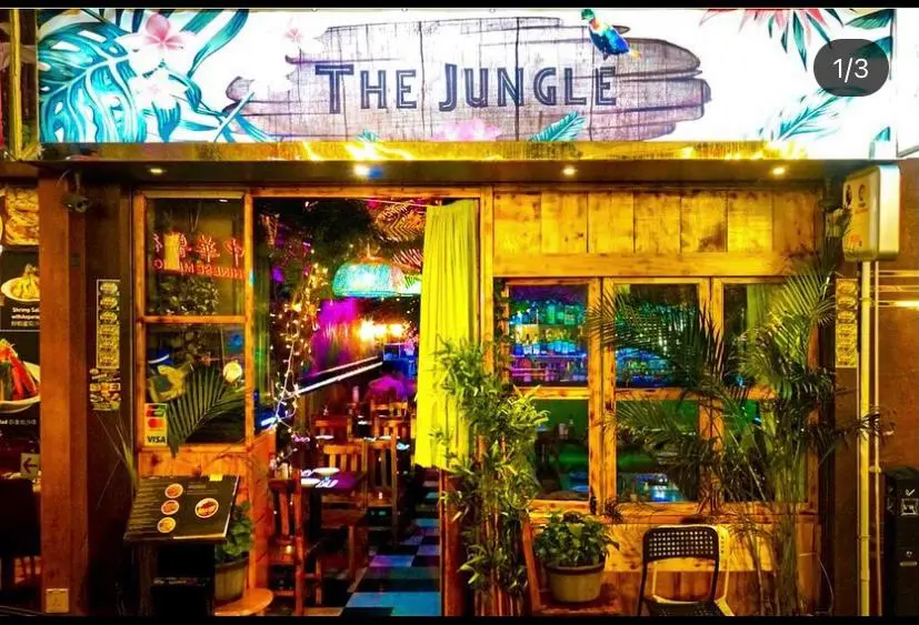 The Jungle