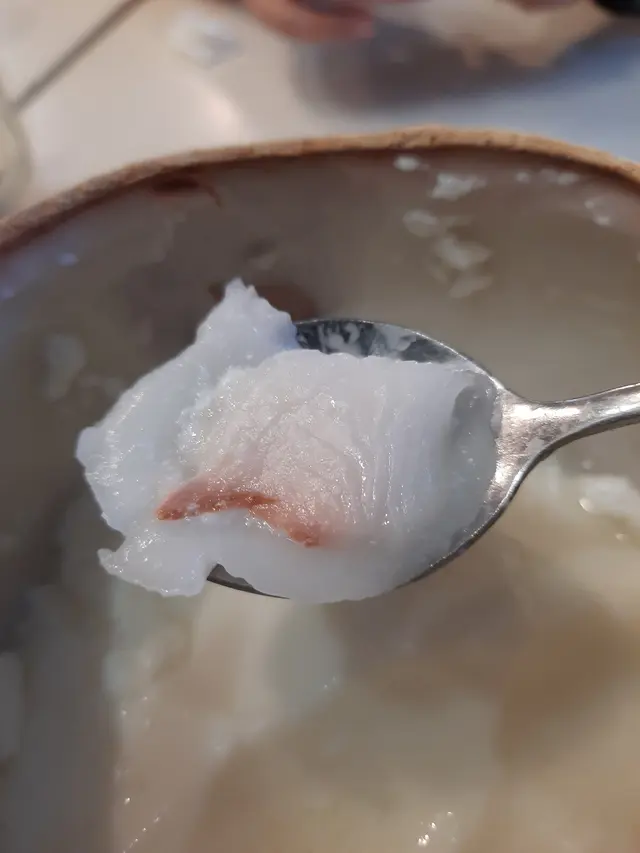 椰皇燉蛋白