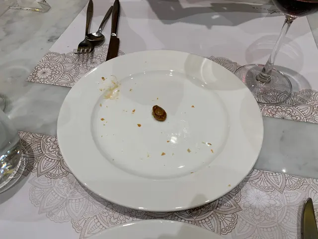 現實就係一片手指甲咁大既「原隻鮑魚」😀正唔正？！