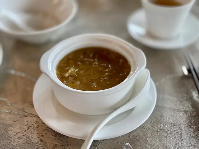 紅燒潮州翅