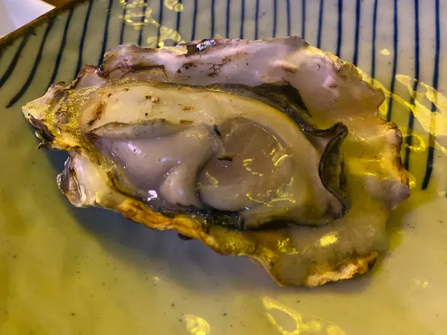 兵庫縣直送播磨蠔