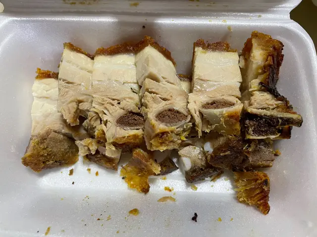 燒腩仔啲肉質同脂肪比例差唔多唔會話太肚又或者太瘦,但係層皮就唔係話太脆,不過都幾好咬,識落唔會太鹹