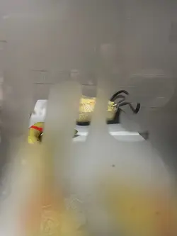 你啲牛油好特别