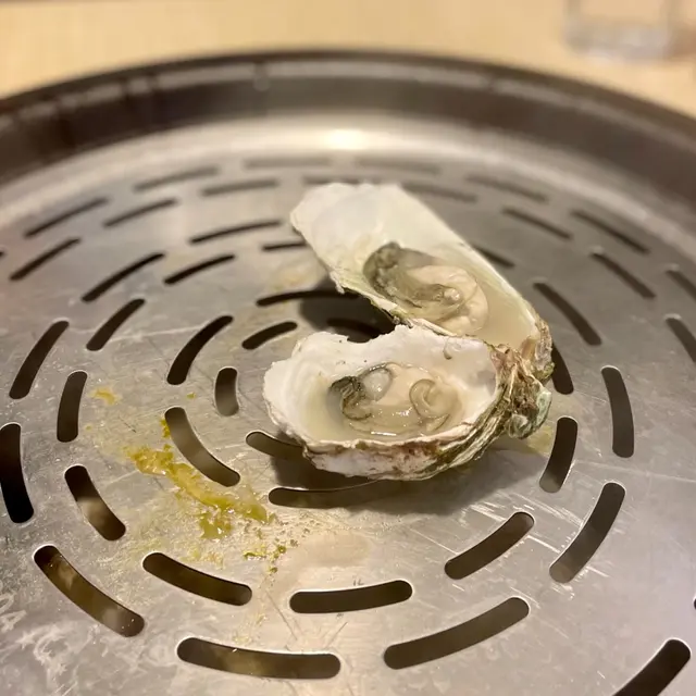 韓國慶南珍珠蠔