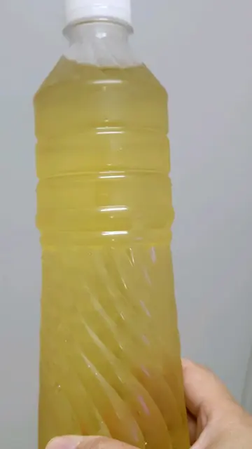 银菊露