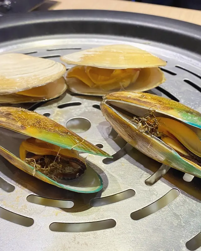 紐西蘭刀貝蚌  &  大西洋野生青口