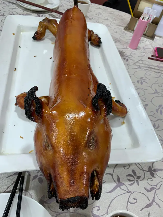 有米豬