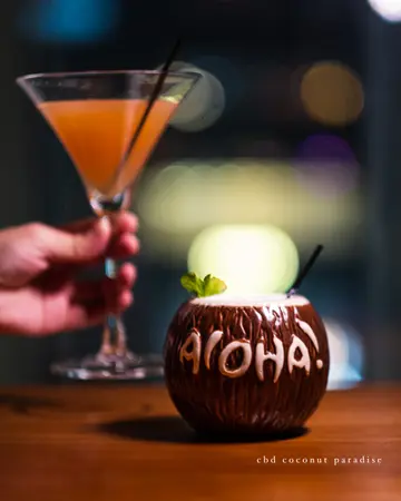 Coconut Paradise