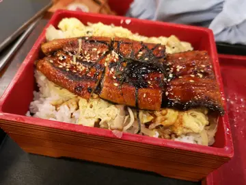 滑蛋蒲烧鳗鱼丼
