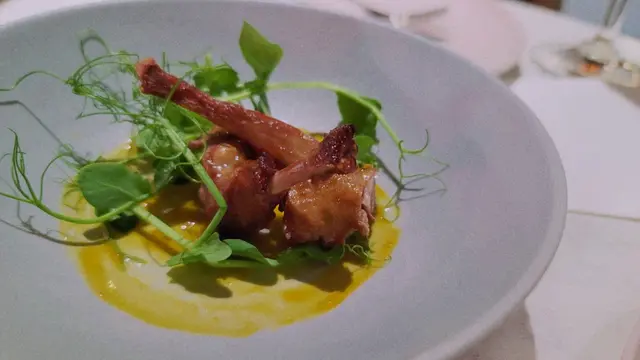 set dinner - 茶燻乳鴿配黃梅醬