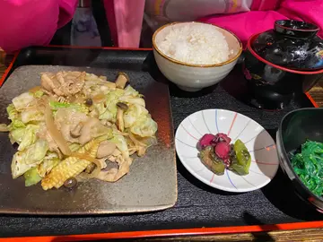 豚肉菜飯