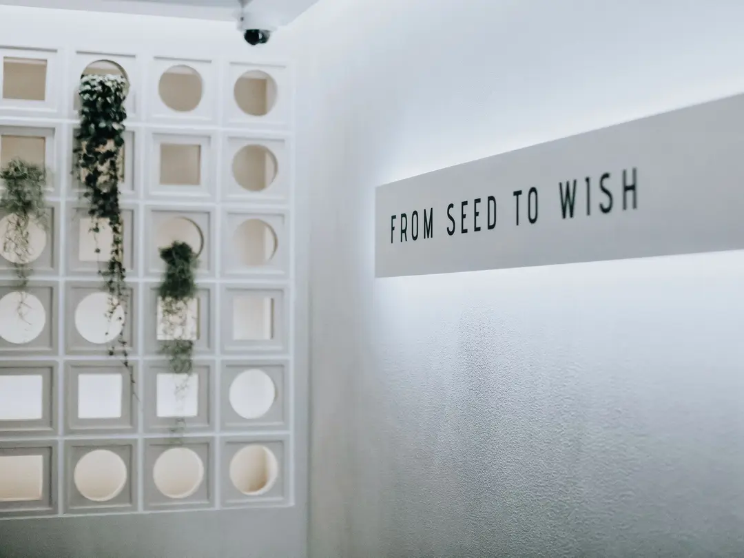 From Seed To Wish