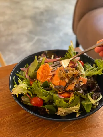 40°C Salmon