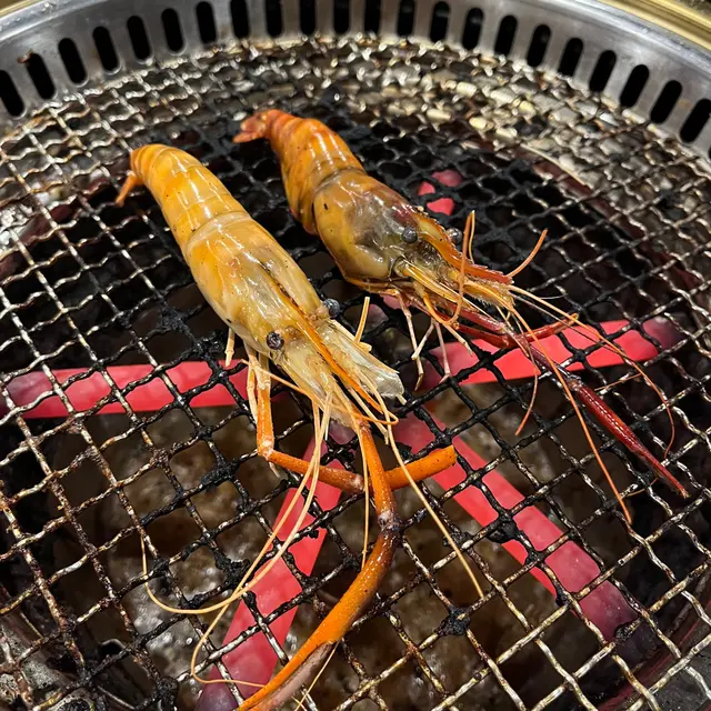 游水大頭蝦 🦐