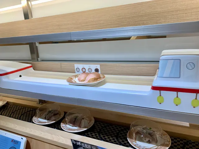 SMART 壽司運送車，不用按掣， 自動回程。