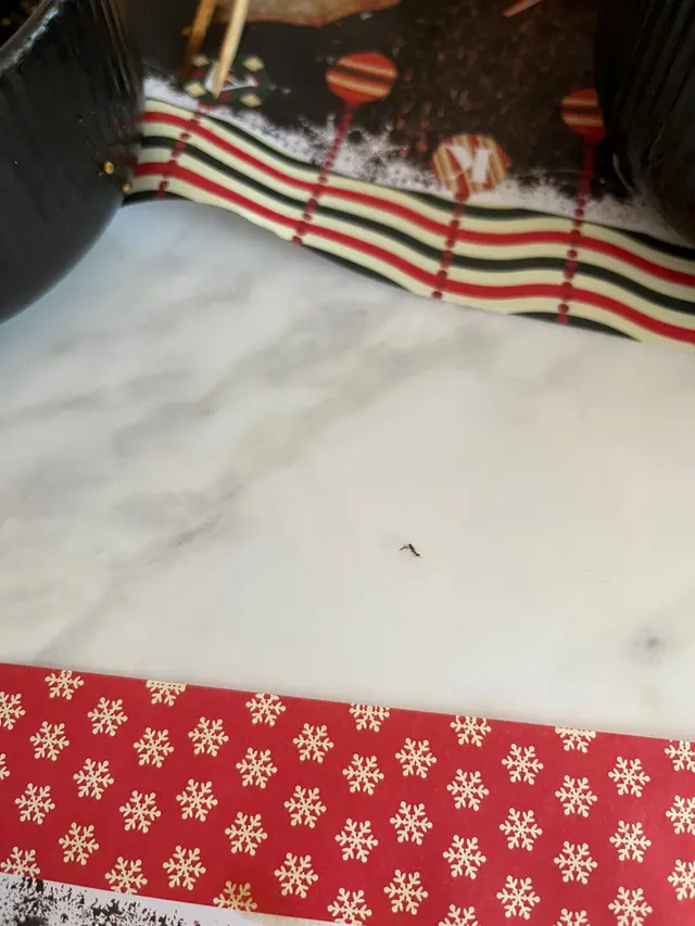 第一次出街食呢味餸會係有殼碎拌蒜蓉