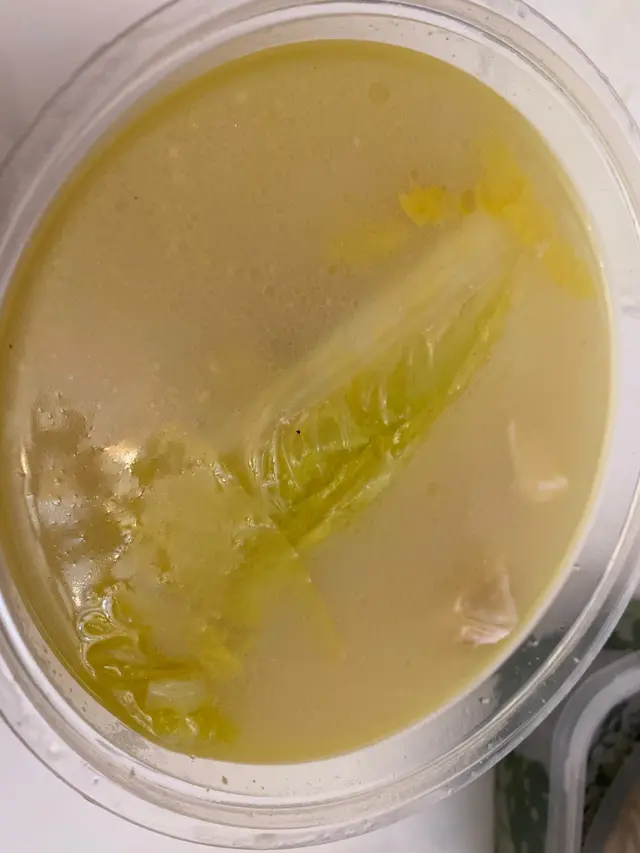 砂鍋濃湯雞煲翅