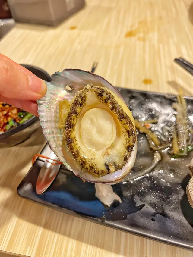台灣九孔鮑魚