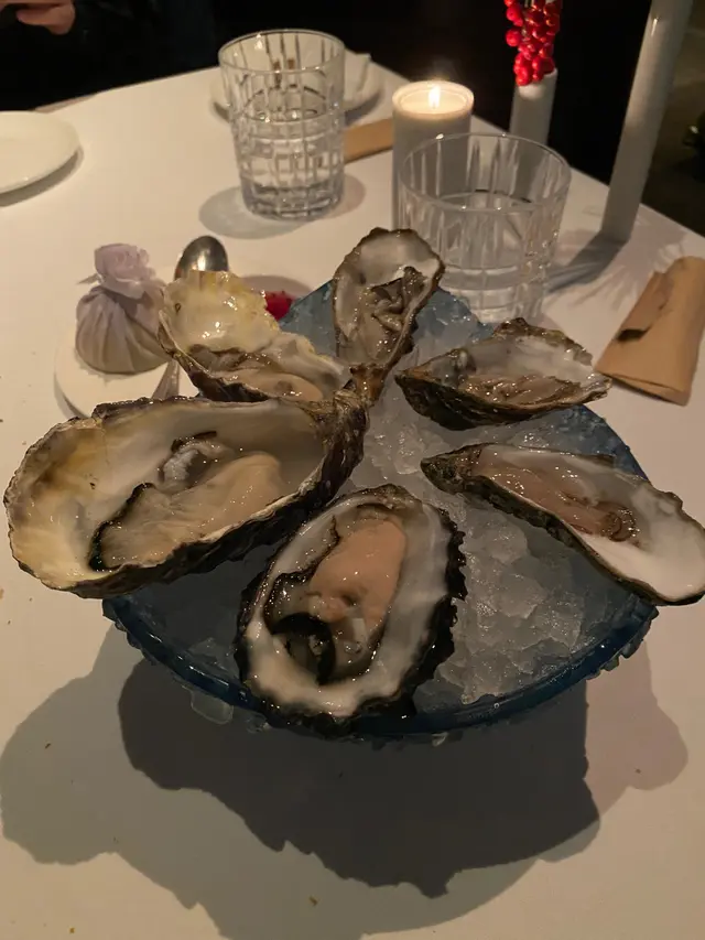 𝑶𝒚𝒔𝒕𝒆𝒓