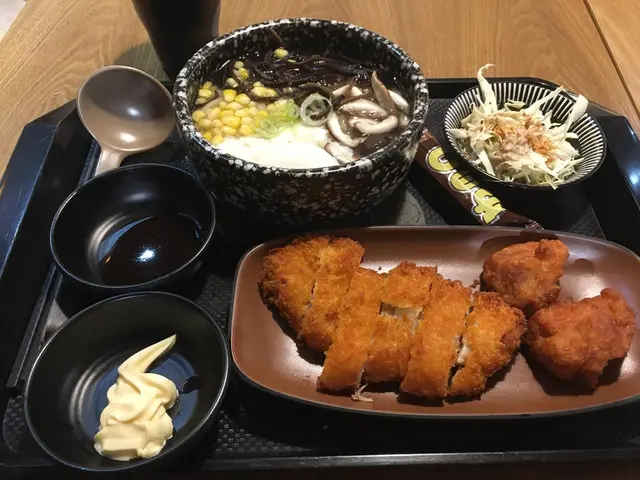 日式吉列豬扒石鍋烏冬