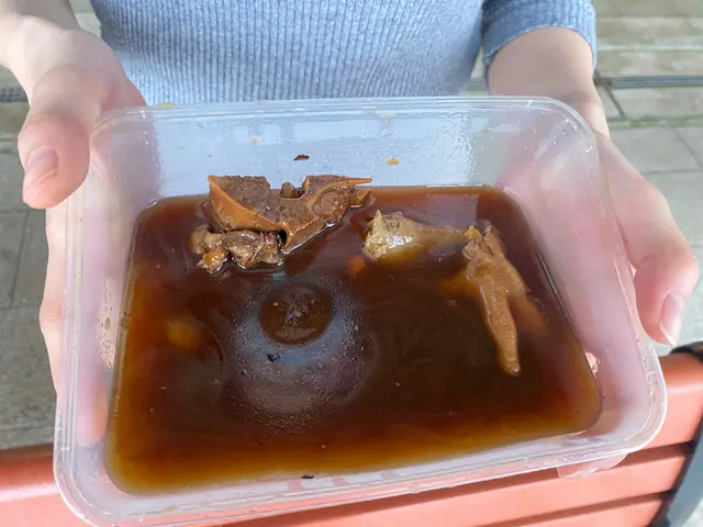 黑蒜螺片燉肉排湯