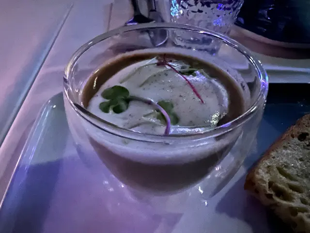 牛肝菌味道相當突出的濃湯