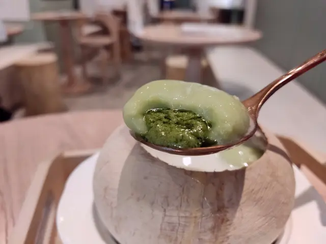 椰皇湯丸燉雙皮奶