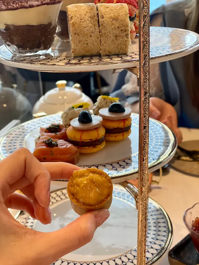 ꜱᴇᴀ ᴜʀᴄʜɪɴ ᴛᴀʀᴛ