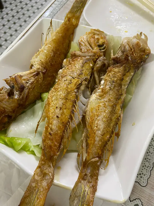 咸雞、蝦蛋飯、煎魚