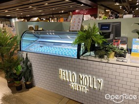 Hello Molly Gelato