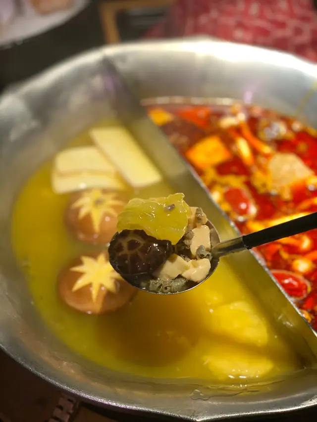 食妝鍋—紅顏花膠雞鍋