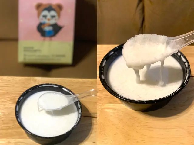 招牌椰汁燉雪燕