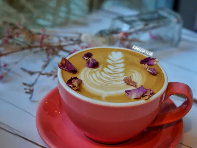 𝙎𝙖𝙡𝙩𝙚𝙙 𝙍𝙤𝙨𝙚 𝙇𝙖𝙩𝙩𝙚