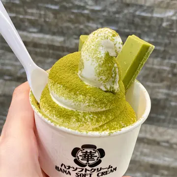 抹茶8.0盆栽