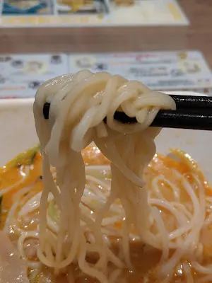 新豬肉絲四川擔擔麵